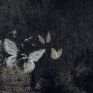 Meet your Posher, Sofia